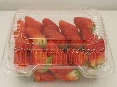 见证食品包装类吸塑盒