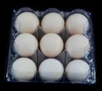 陕西鸡蛋吸塑包装厂家